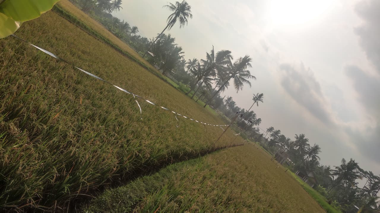 Foto pendukung